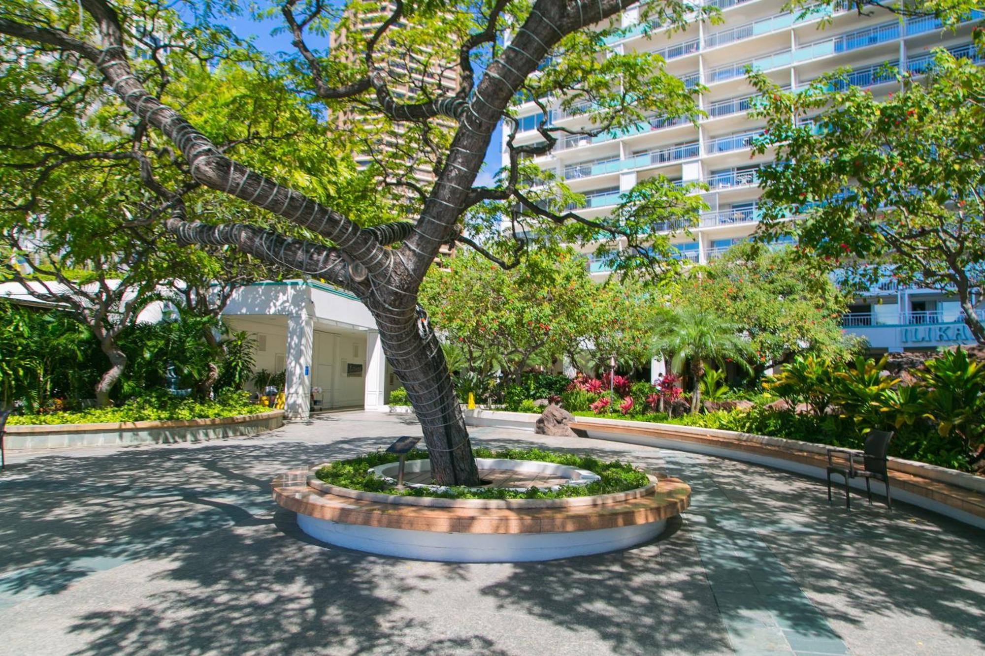 Ilikai Tower 1533 Yacht Harbor View 1Br Apartment Honolulu Exterior photo
